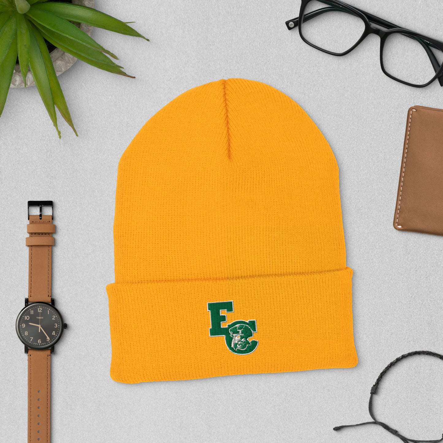 Cuffed Beanie